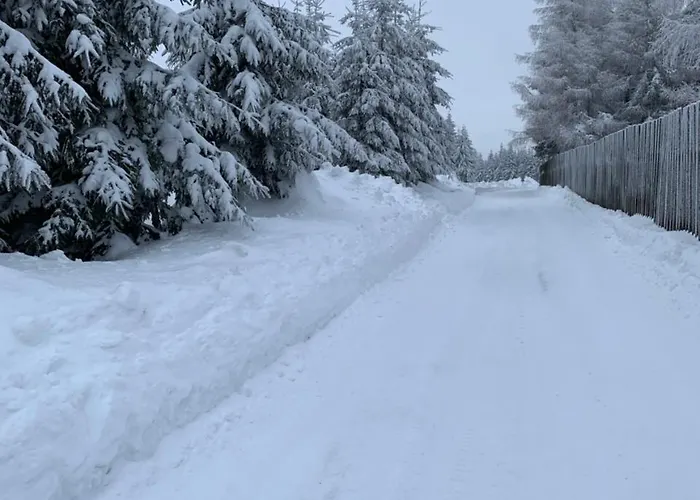 Hajovna